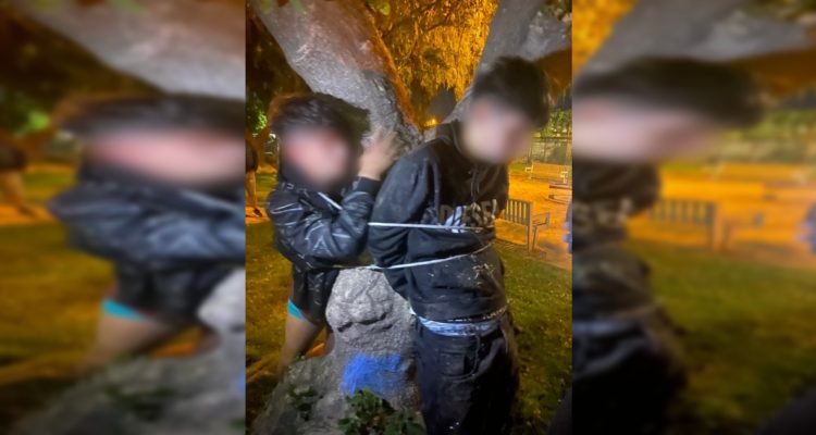Detención ciudadana en Maipú: vecinos golpearon y amarraron a un árbol a autores de portonazo