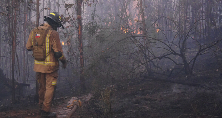 llaman a prevenir incendios forestales en provincia de Bío Bío
