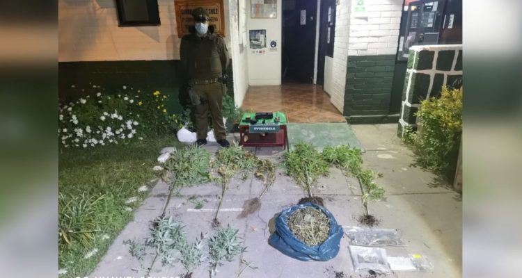 Incautan drogas y arma a fogueo en El Tabo