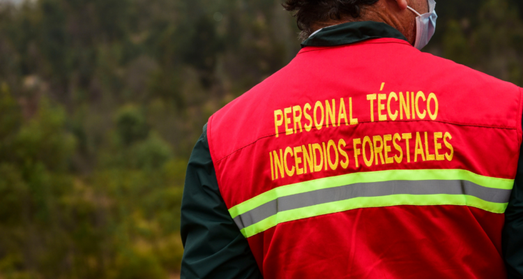 Encuentran restos de fuegos artificiales en Humedal Paicaví