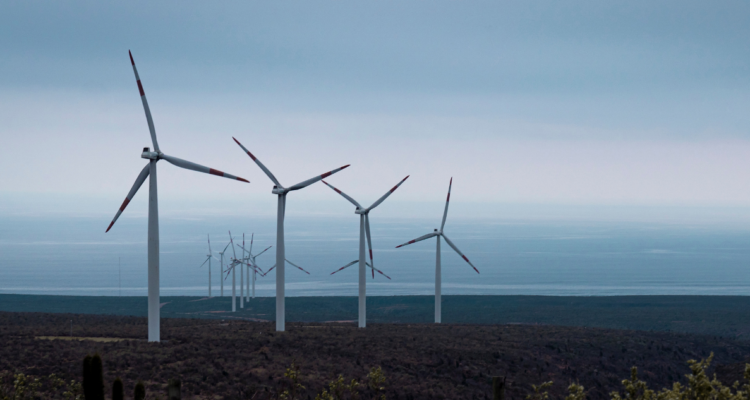 Comisión del Senado aprueba fin de combustibles fósiles al 2030 para fomentar energías renovables