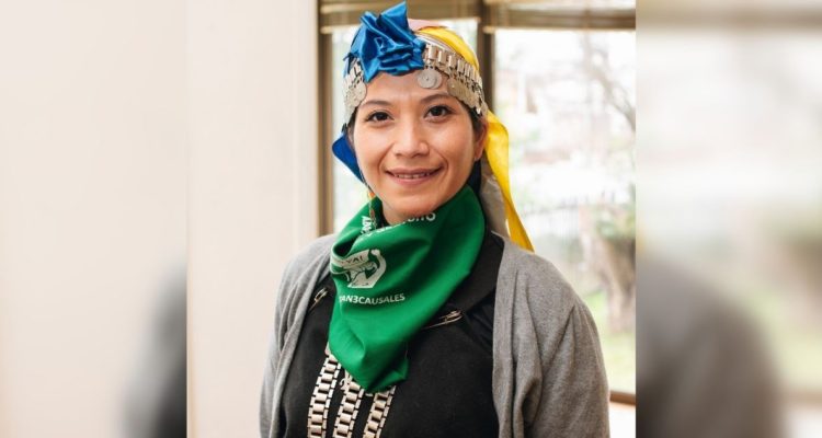 Primera mapuche electa en distrito 23