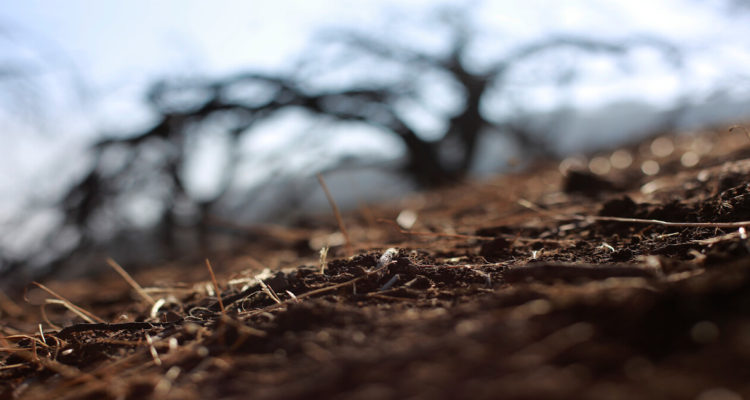 Por primera vez en la historia: Región de Los Ríos es declarada como zona de escasez hídrica