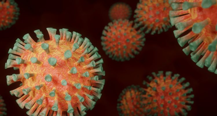 Imagen del SARS-CoV-2