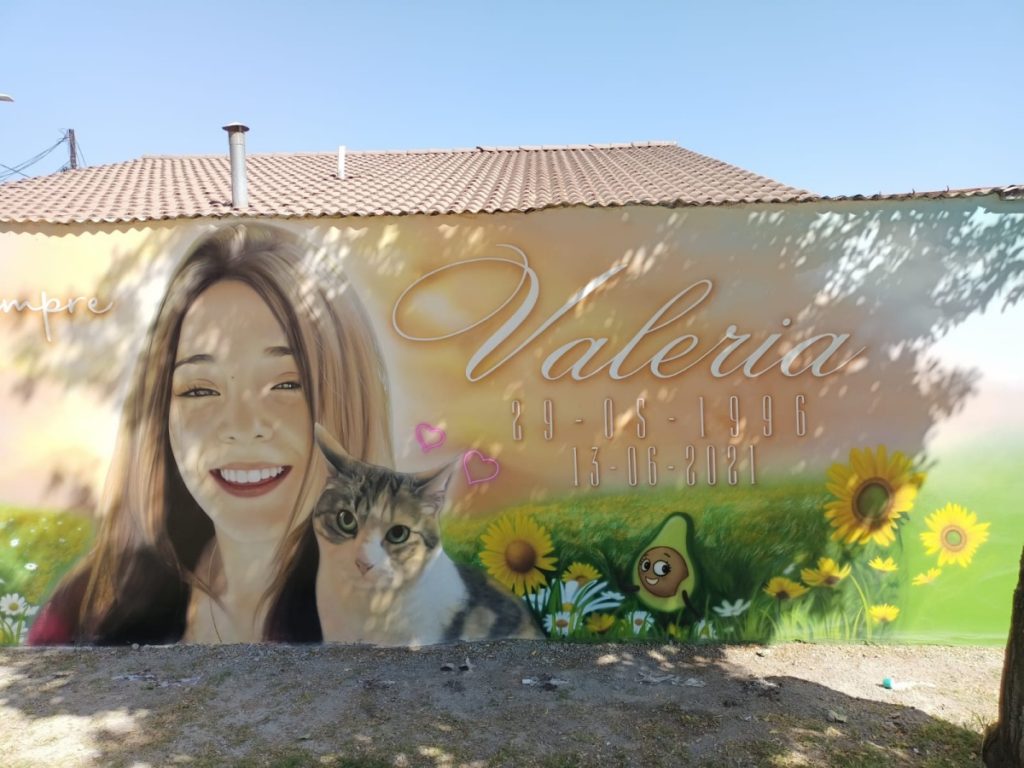 Familia presenta mural de Valeria Vivanco y pide que PDI desvincule al imputado: "Es un asesino"
