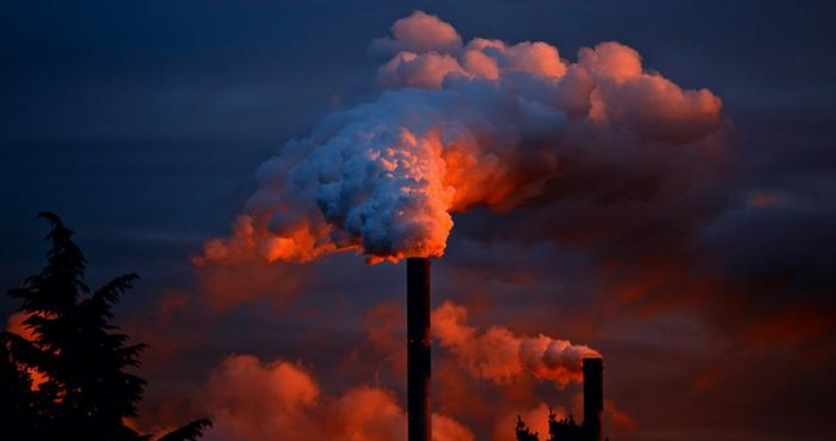 Once gráficas que resumen la crisis climática ¿Cuánto ha cambiado nuestro planeta