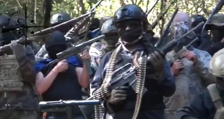 Grupo armado mapuche