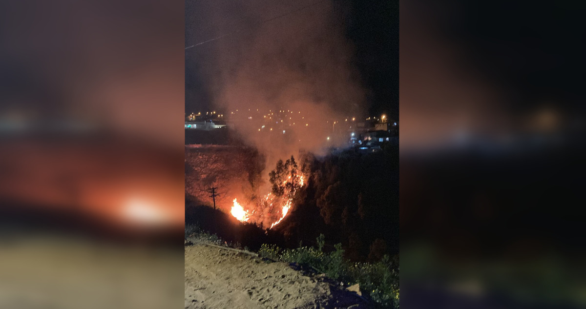 Incendio forestal afecta cerro Placeres de Valparaíso: amenaza con propagarse a viviendas