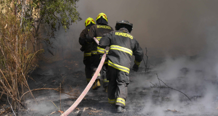 Bomberos trabajando