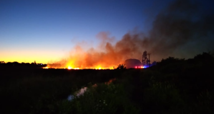 Incendio en humedal Paicaví.