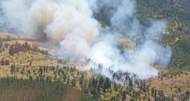Incendio forestal en Laguna Verde