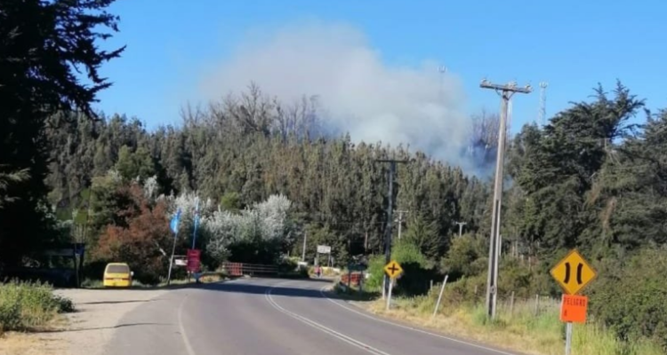 Incendio forestal en Valparaíso ruta 68