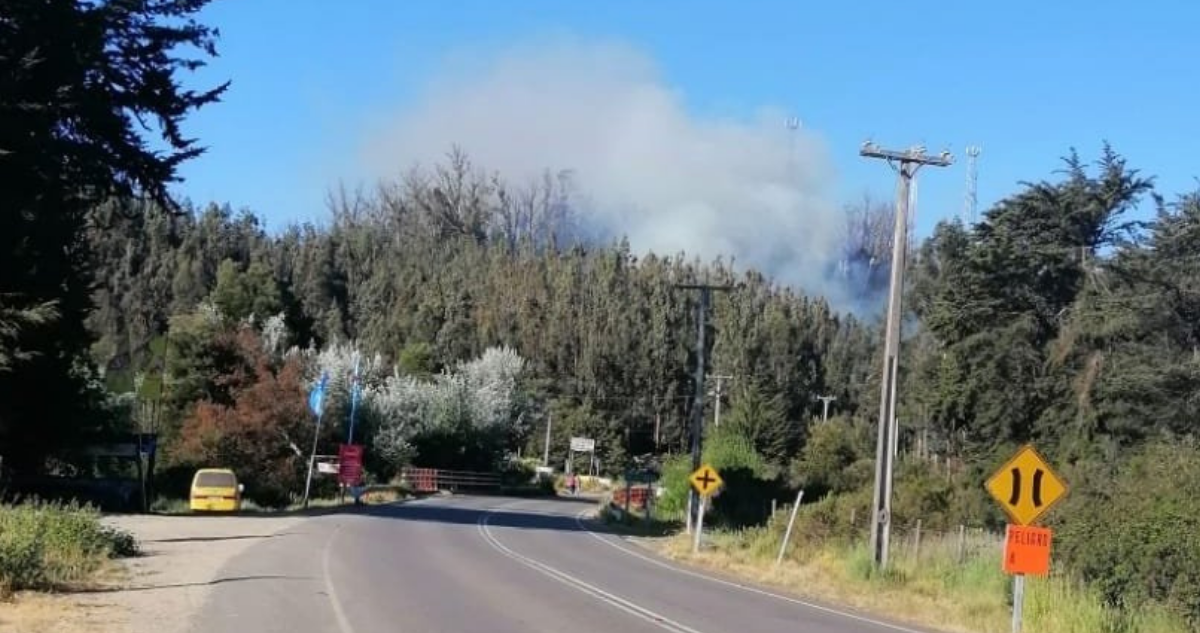 Incendio forestal en Valparaíso ruta 68