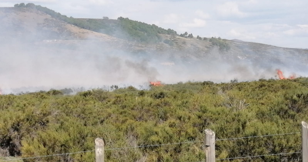 incendio-forestal-sector-pedregoso-lonquimay