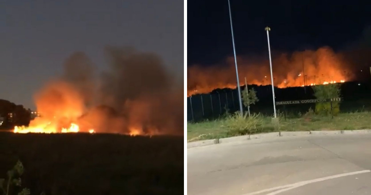 Incendio en humedal Paicaví