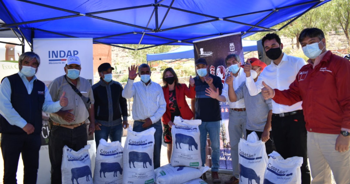Entrega de ayuda en Vicuña