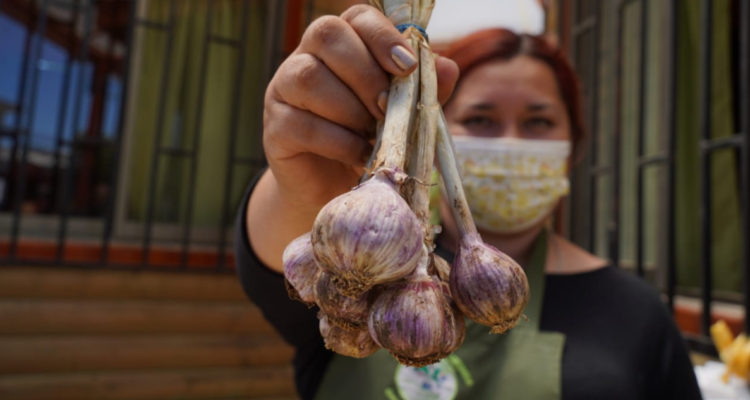 Instituto de Desarrollo Agropecuario