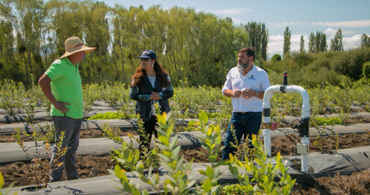 Instituto de Desarrollo Agropecuario