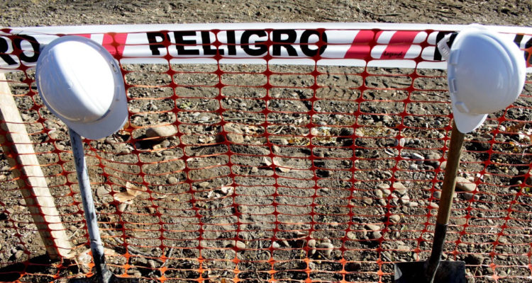 proponen extender vigencia de la ley del mono