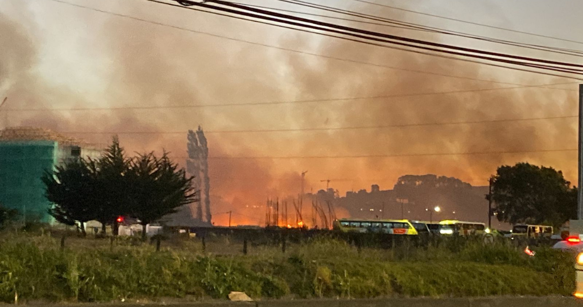 Incendio en humedal Paicaví. 
