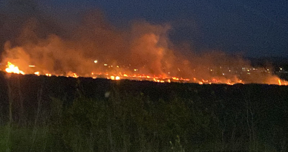 Incendio en humedal Paicaví. 