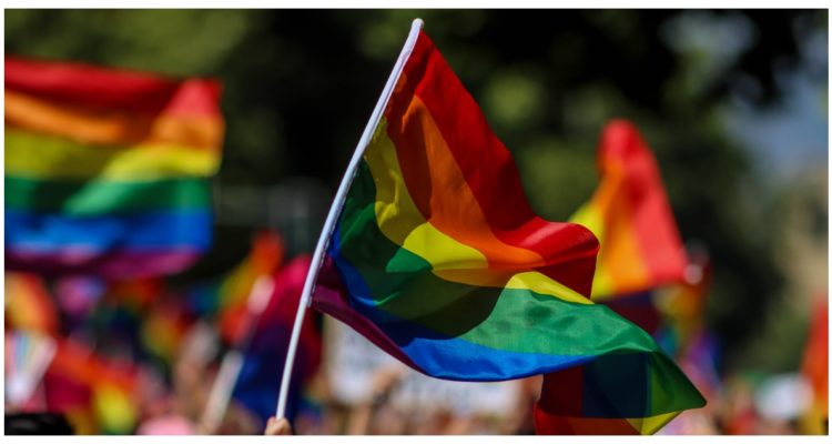 Matrimonio Igualitario: Senado ratifica Comisión Mixta y sesionará este 6 de diciembre