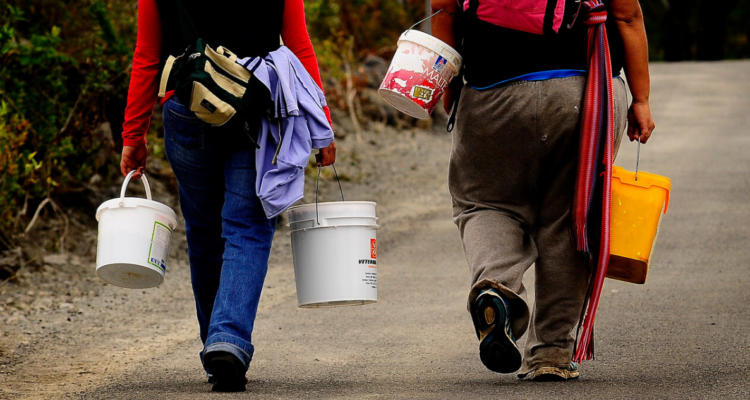 Fiscalizan a empresas agrícolas por abusos a migrantes.