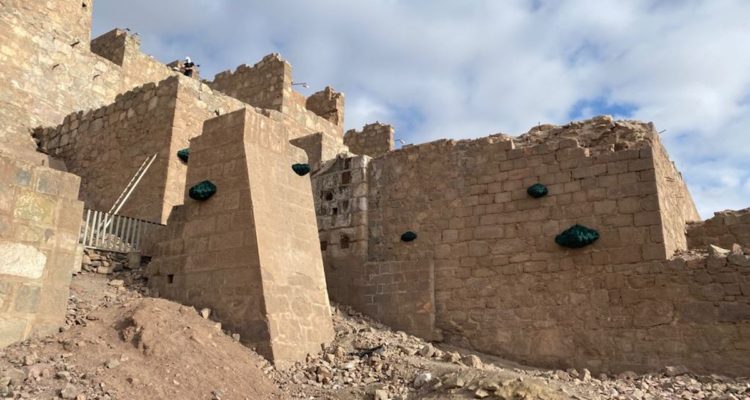 instalacion Mushrooms and mould de Elodie Antoine