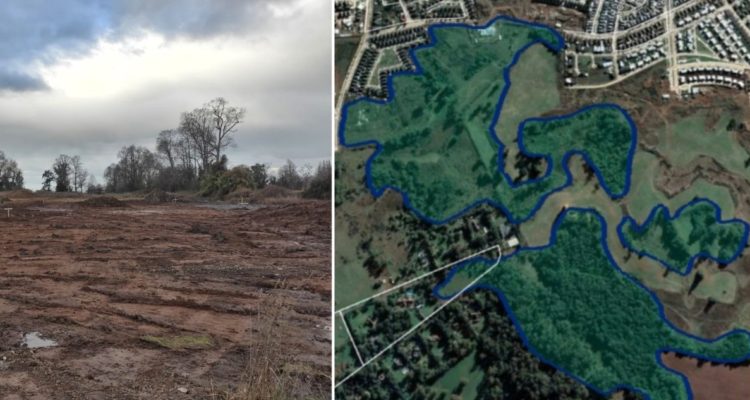 Paralizan obras en humedal de Osorno