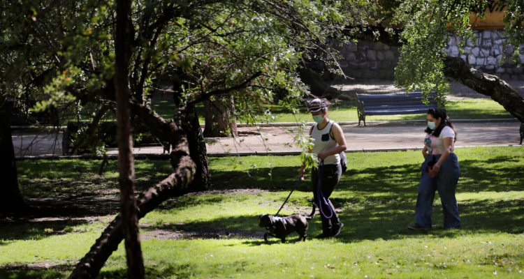organizaciones parque forestal