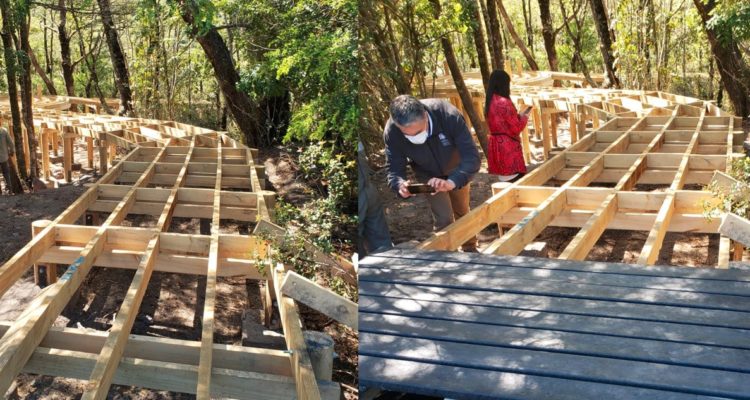 Pasarela en Parque Nacional Vicente Pérez Rosales