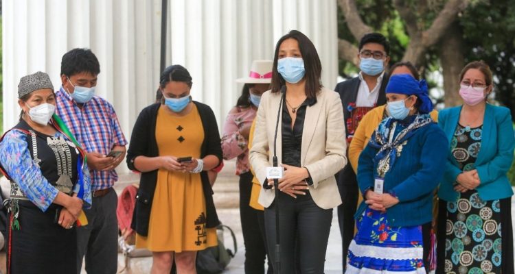 Plazos consulta indígena en la convención