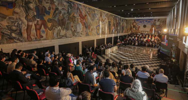 Plenario de Convención Consitucional