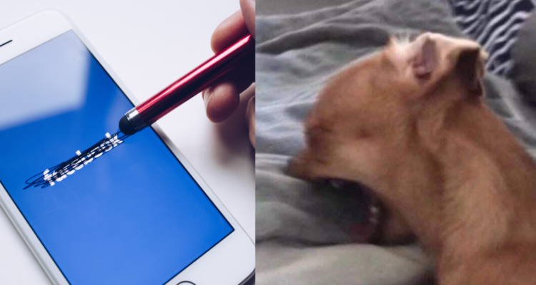 Usuarios reportaron fallas en Facebook… e inmediatamente aparecieron las bromas