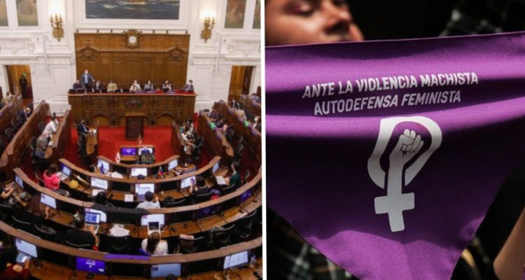 propuesta constitucional por violencia de género