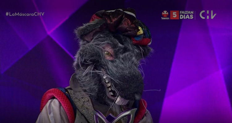 Rata aceptando la derrota en ¿Quién es la Máscara?