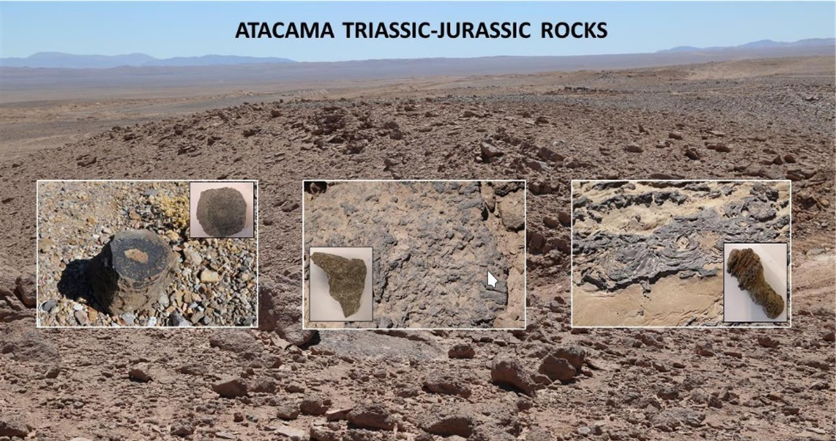 La imagen muestra las rocas analizadas en tierra chilena. Ese método es el que buscan usar para investigar evidencias de vida en Marte.