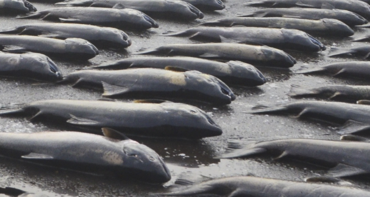 Archivo | Agencia UNO