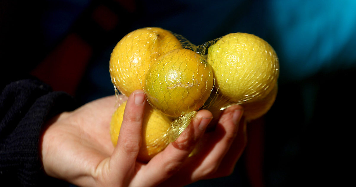 Persona sostiene algunos limones en Chile.