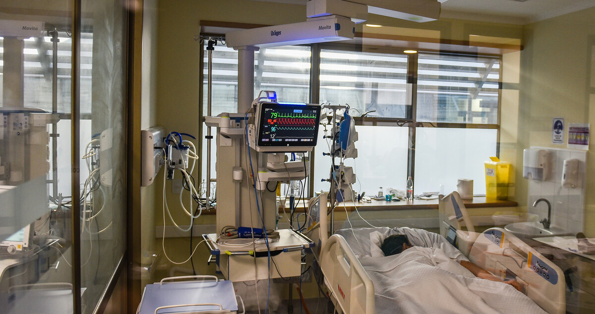 Seguro Social Salud