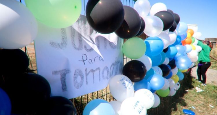 peritajes por caso tomás bravo