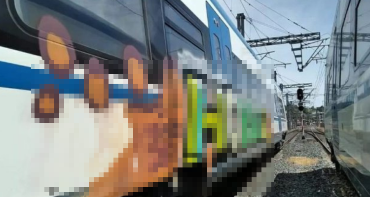 Rayados tren.