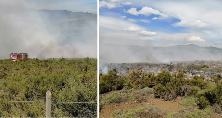 incendio forestal en Lonquimay