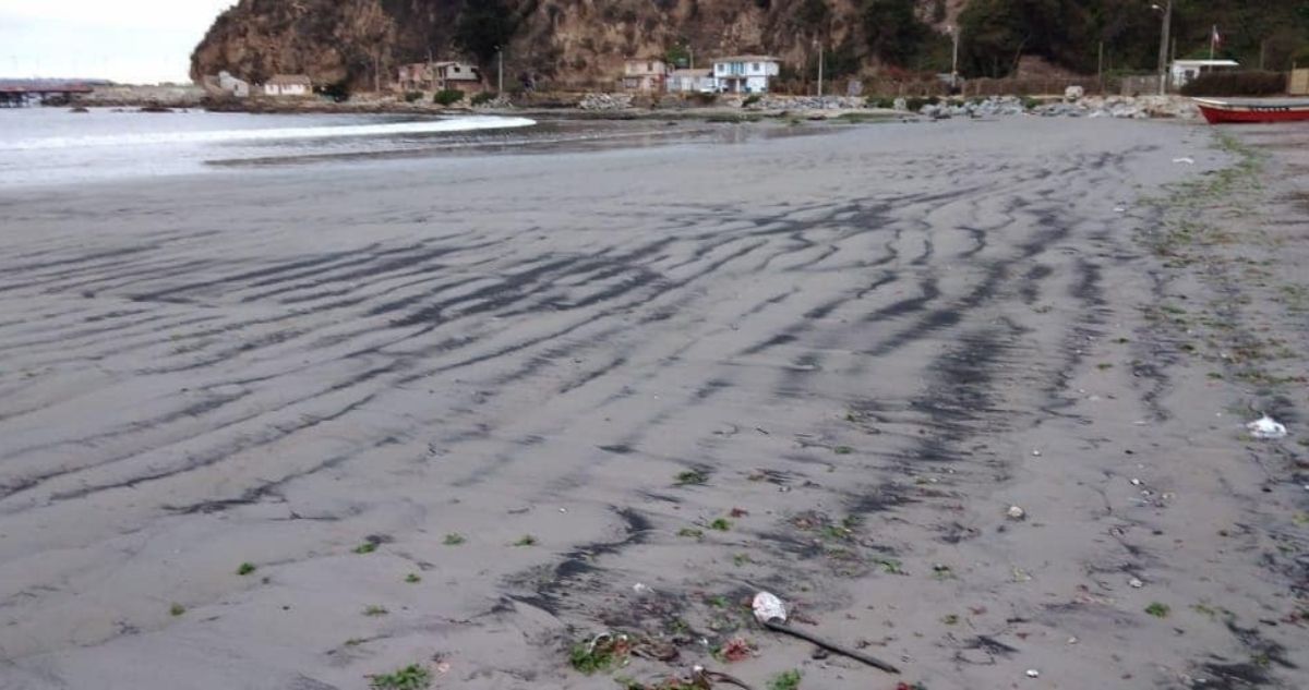 Denuncia nuevo varamiento de carbón en playa Ventanas