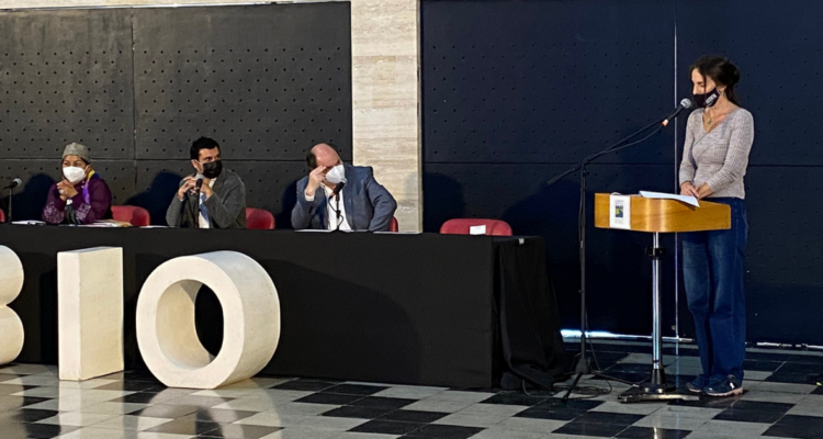 Pleno de la Convención Constitucional