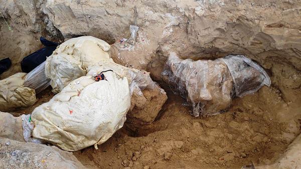 Hallan restos de mamut en México