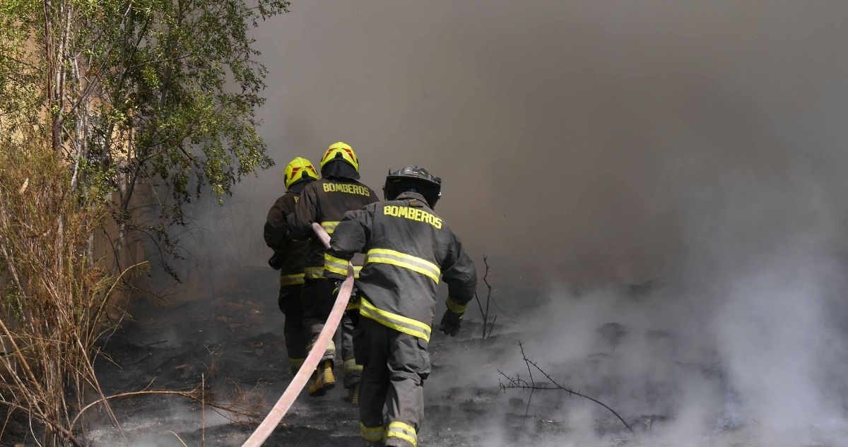 Alerta Amarilla por incendio forestal en Concepción