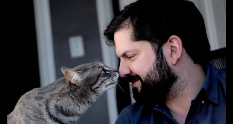 ‘Bulu’, el gato de Irina Karamanos