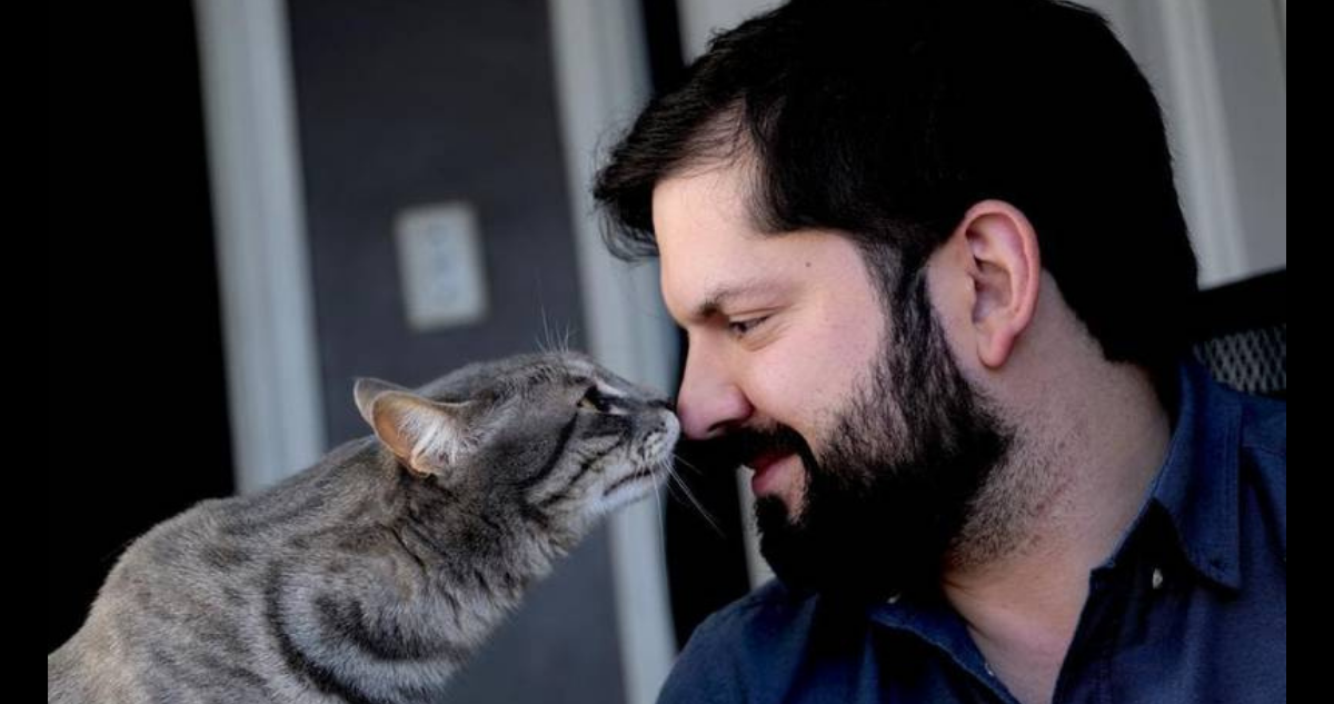 ‘Bulu’, el gato de Irina Karamanos