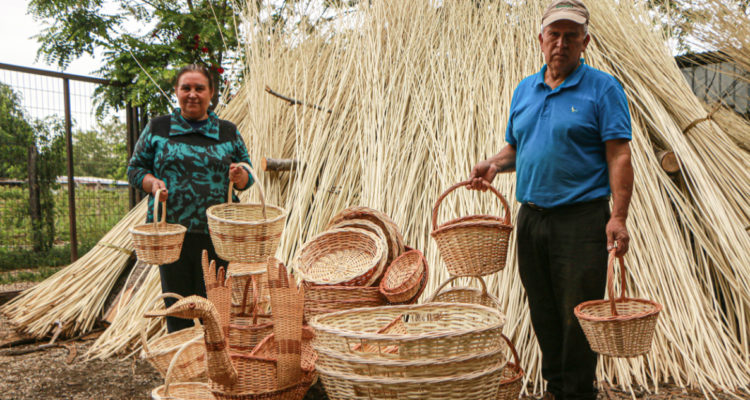 Artesanos de Coihueco